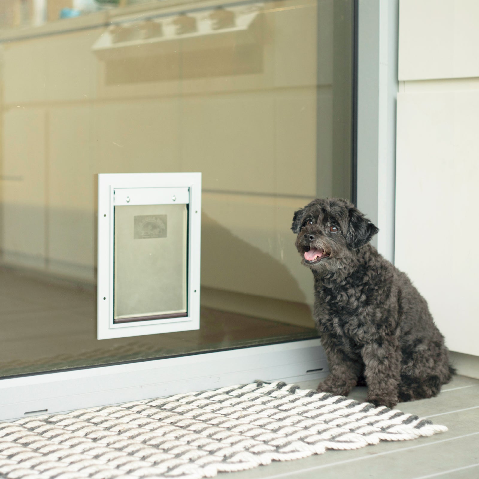 Deluxe Aluminum Pet Door