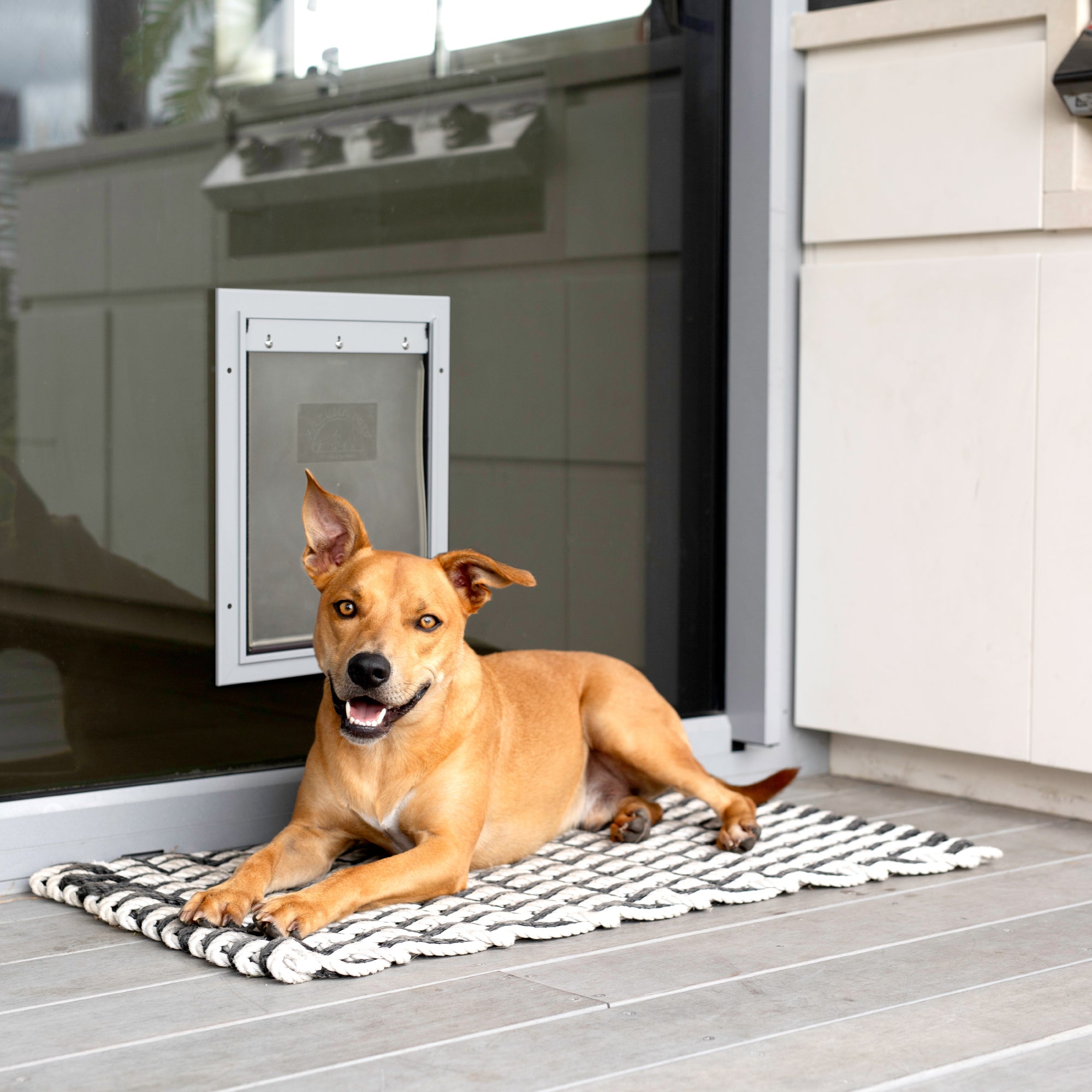 Deluxe Aluminum Pet Door