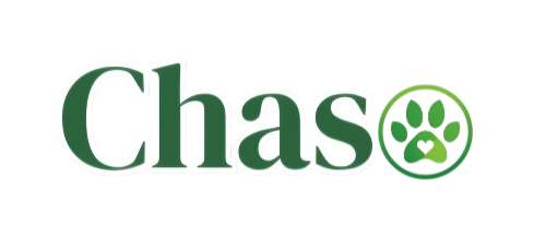 Chaso