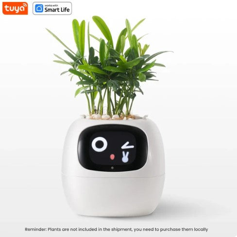 Plantagotchi - Ai Smart Planter