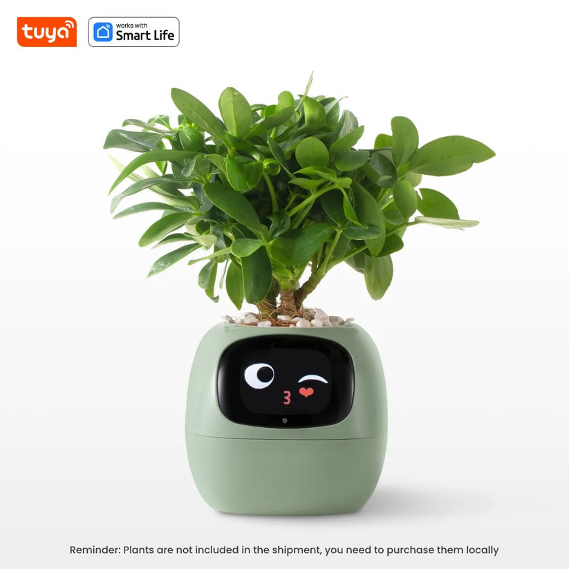 Plantagotchi - Ai Smart Planter
